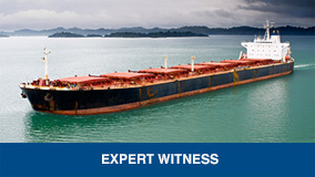 Expert witness link